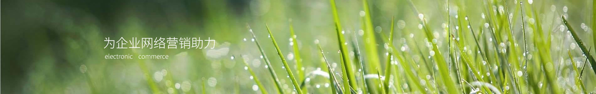 ϾݿǱ޹˾